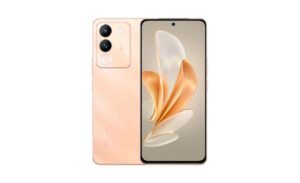 vivo V30